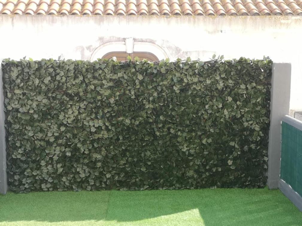 Residencial S Juliao Al Hotel Figueira da Foz Buitenkant foto
